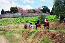 Italy-Tuscany-Seven Castles Ride